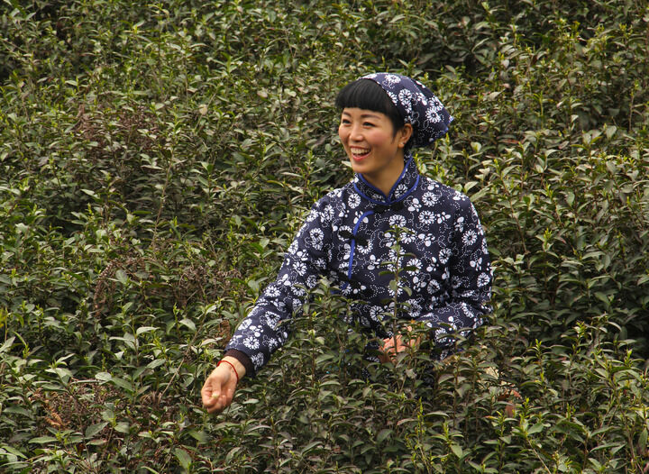 酒廊暗影